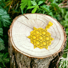 Load image into Gallery viewer, Seven Chakra Amulet Pendant