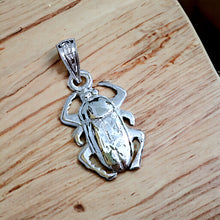 Load image into Gallery viewer, Silver Scarab Pendant Necklace